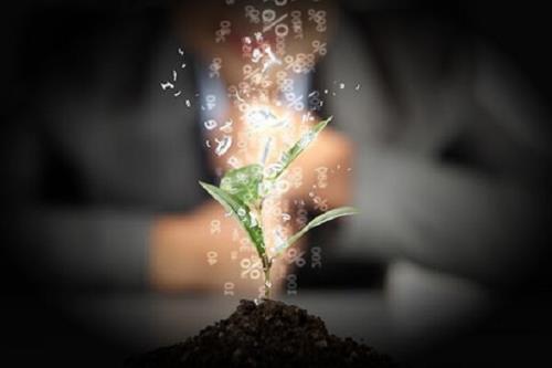 گروه منابع طبیعی دیجیتال در پژوهشگاه فضای مجازی بوجود آمد