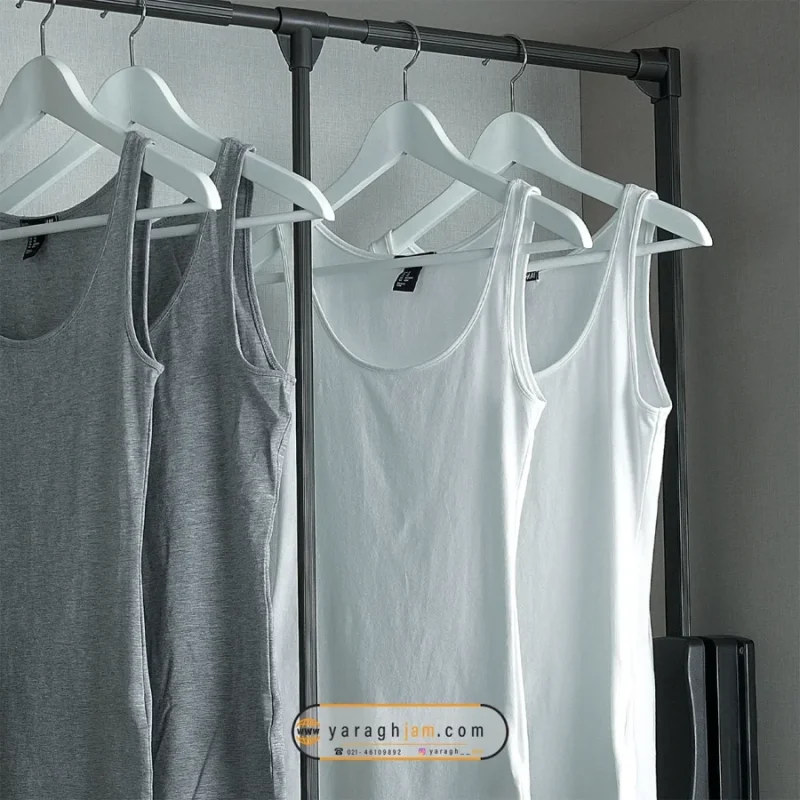 رگال آسانسوری و کاربردهای آن